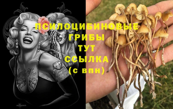 стафф Михайловка