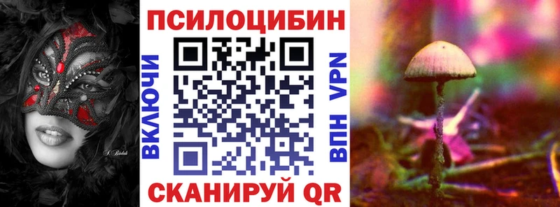 наркотики  Разумное  Галлюциногенные грибы Psilocybine cubensis 
